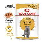 Royal Canin Sobre en Salsa British Shorthair Adult, , large image number null
